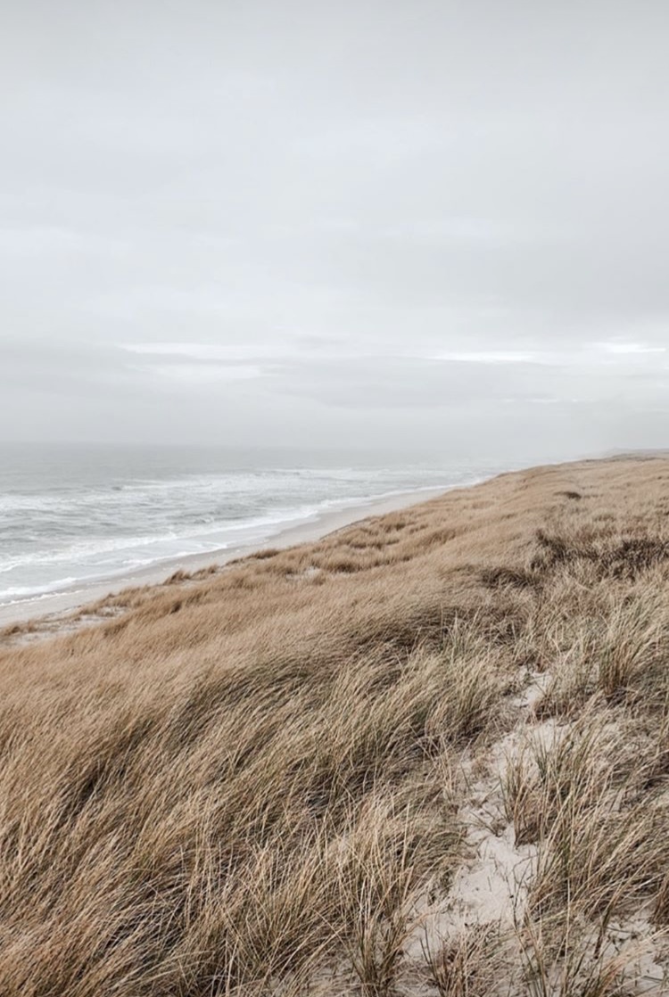 Waves and dunes at the beach
